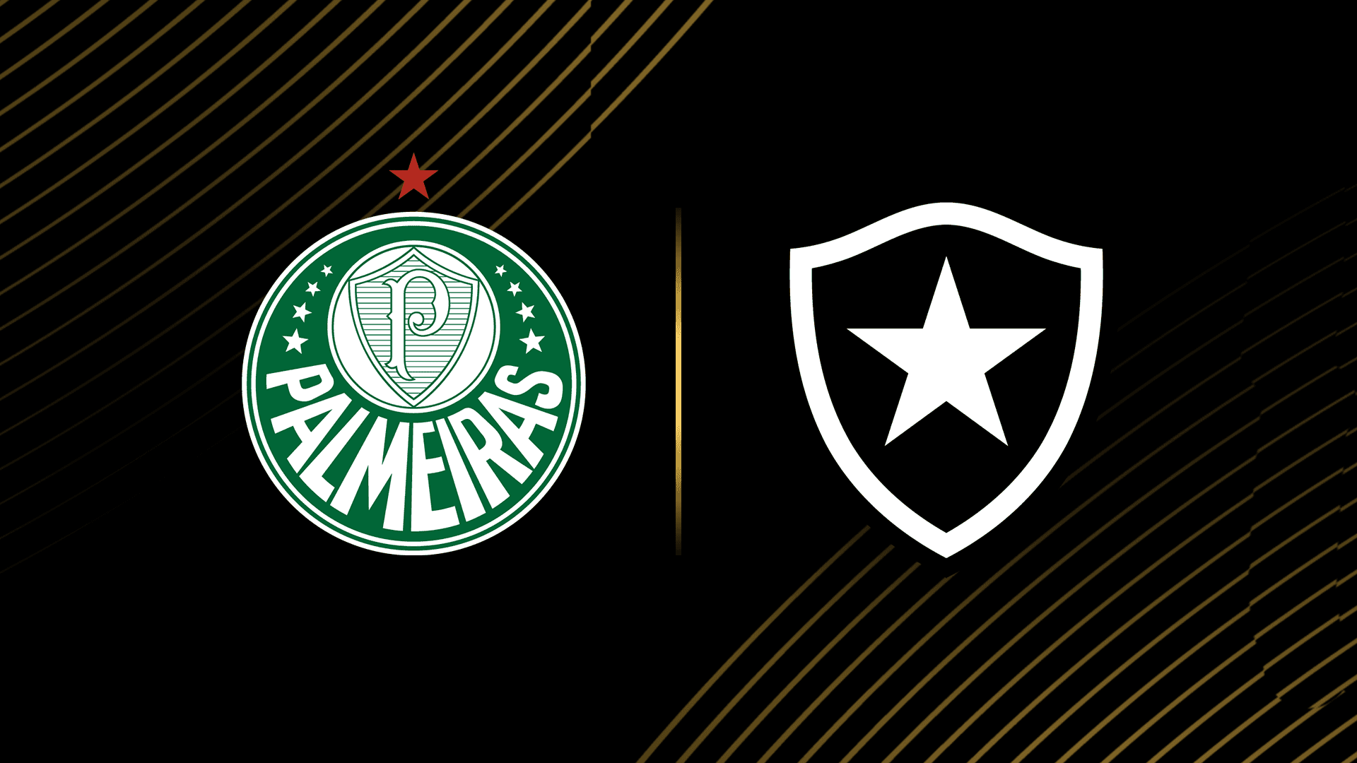 Palmeiras vs Botafogo DONDE VER EN VIV⚽️ - Mundial de Clubes 2025